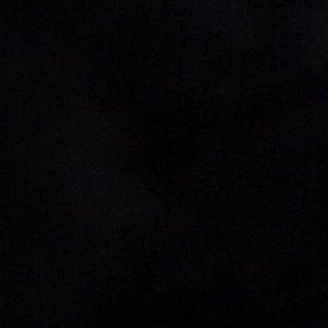 Meet your Posher, Shay